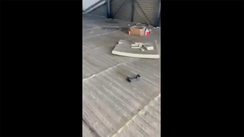 Video 5