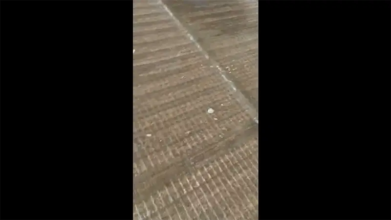 Video 7